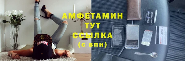 гидра Михайловск
