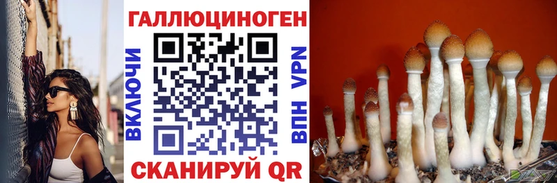 Галлюциногенные грибы Cubensis где продают Елабуга