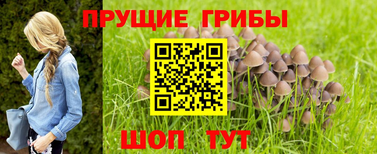 Галлюциногенные грибы Cubensis  Елабуга 